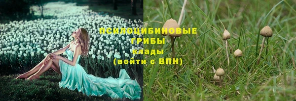 хмурый Михайлов
