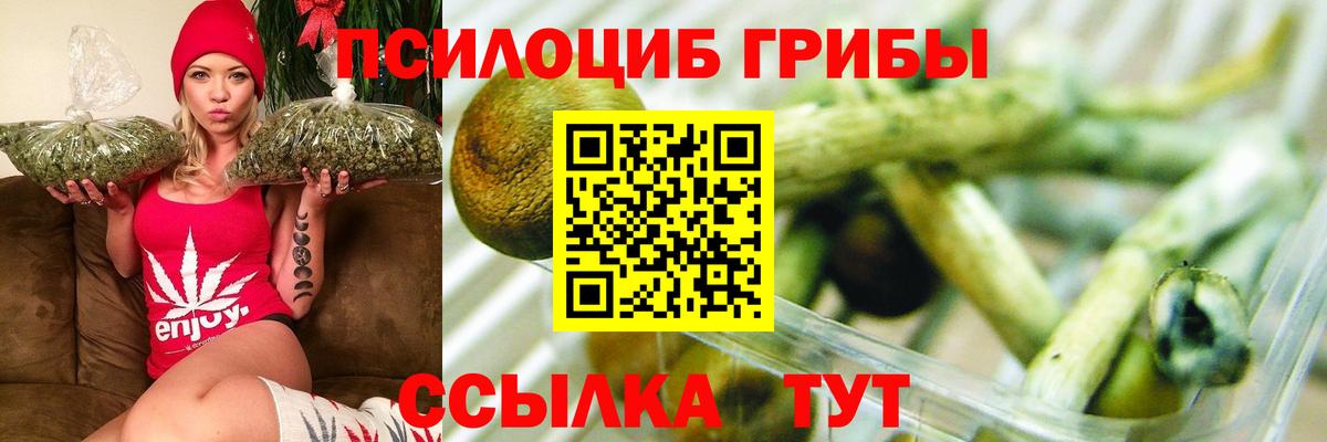 Ковров  как найти закладки  Вход с VPN  Псилоцибиновые грибы Cubensis 